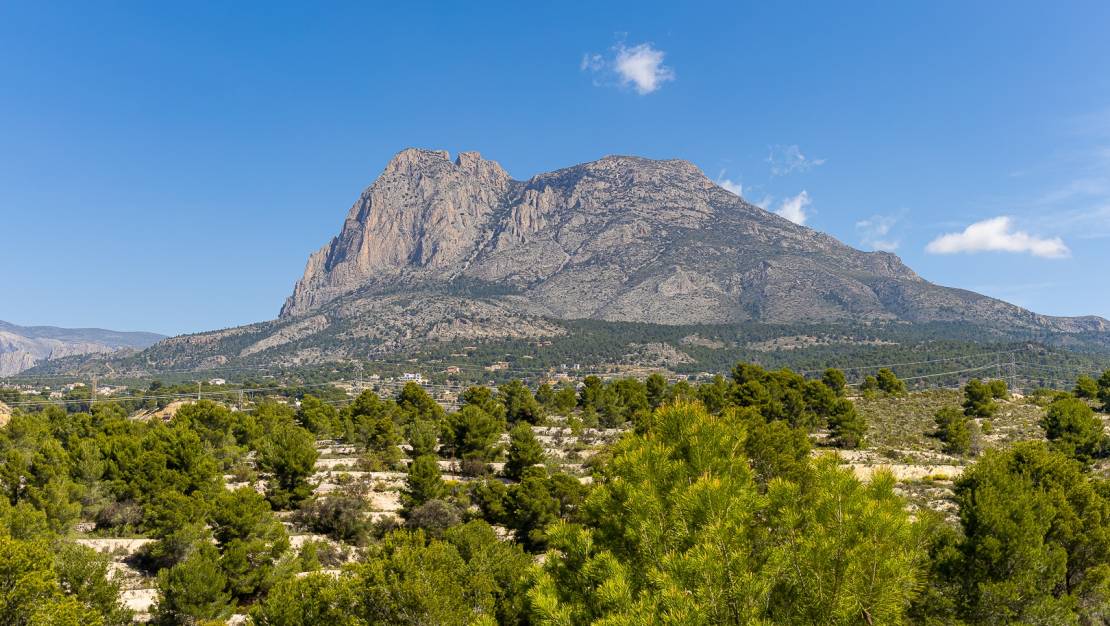 New Build - detached - Finestrat