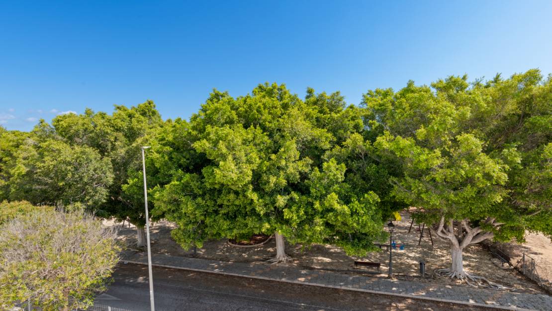 New Build - detached - Pilar de la Horadada