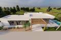 Новостройка - detached - Pilar de la Horadada