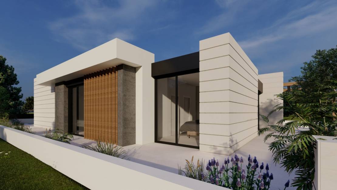 Новостройка - detached - Pilar de la Horadada