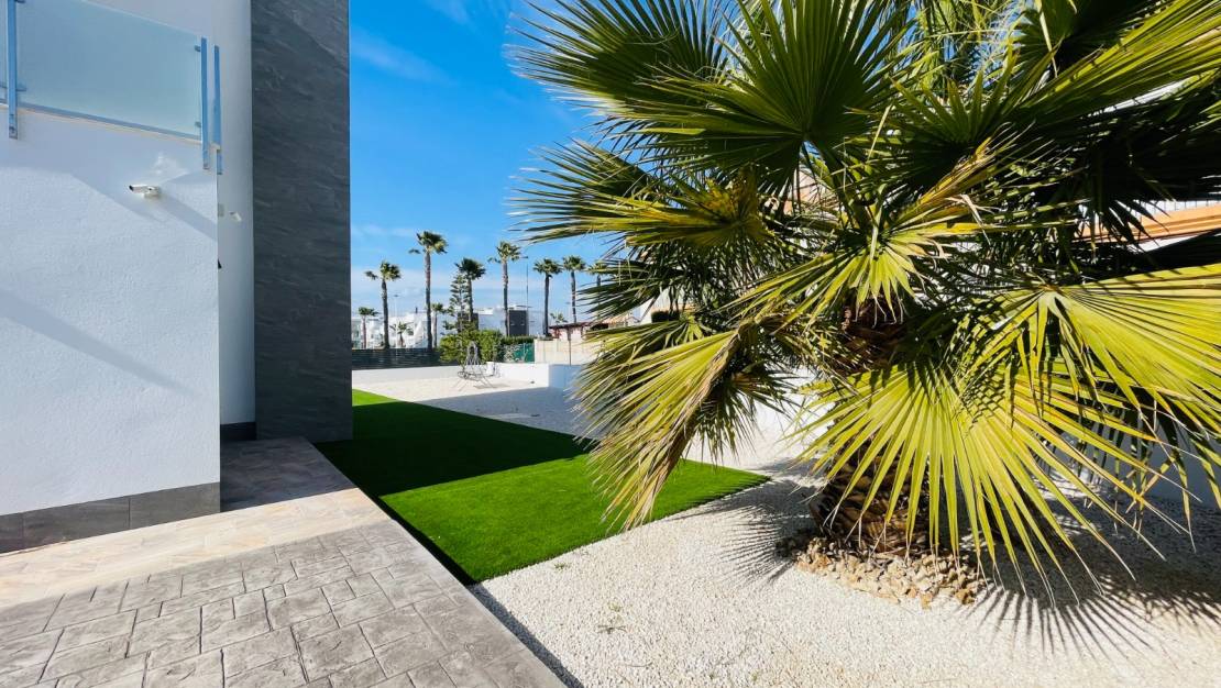 Новостройка - detached - Torrevieja