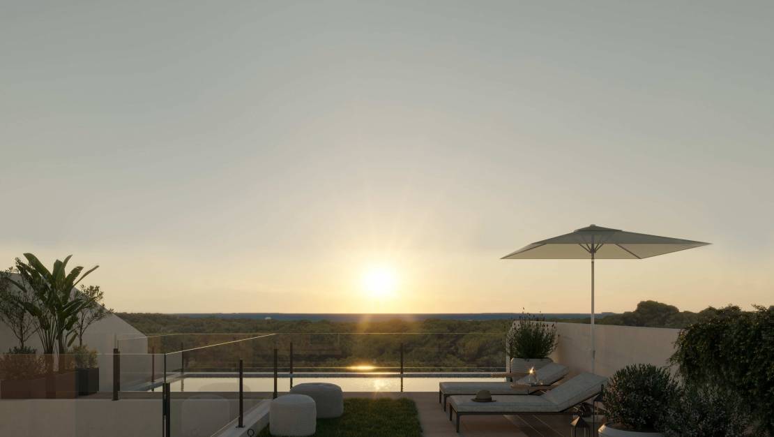 Новостройка - Пентхаус - Guardamar del Segura