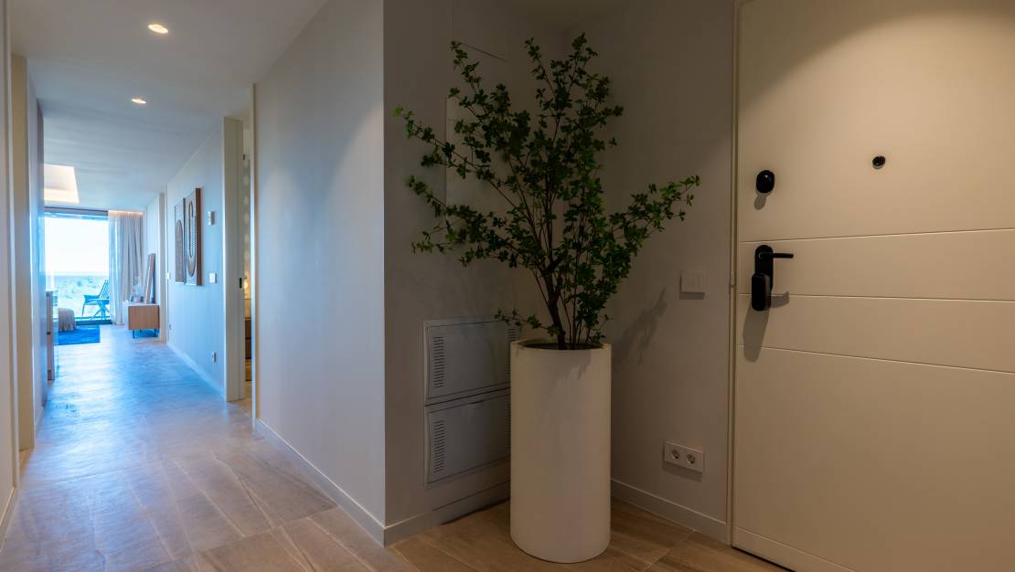 Новостройка - Пентхаус - Guardamar del Segura