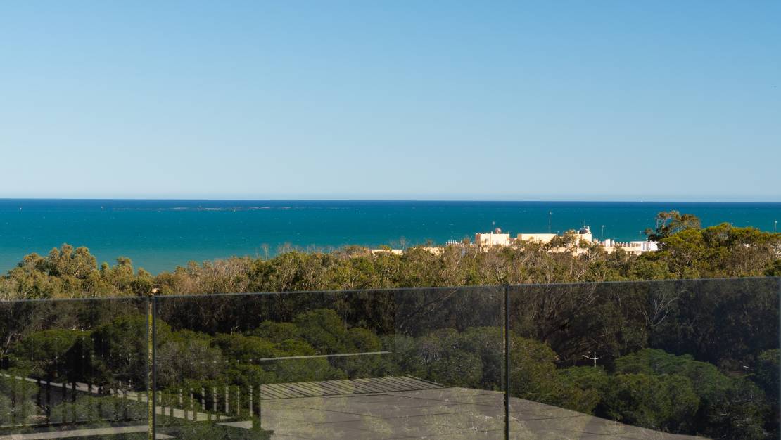 Новостройка - Пентхаус - Guardamar del Segura