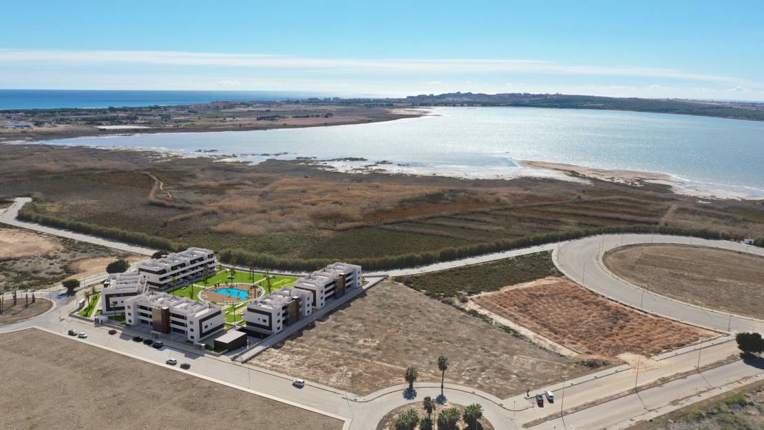 Nueva construcción  - Atico - Guardamar del Segura