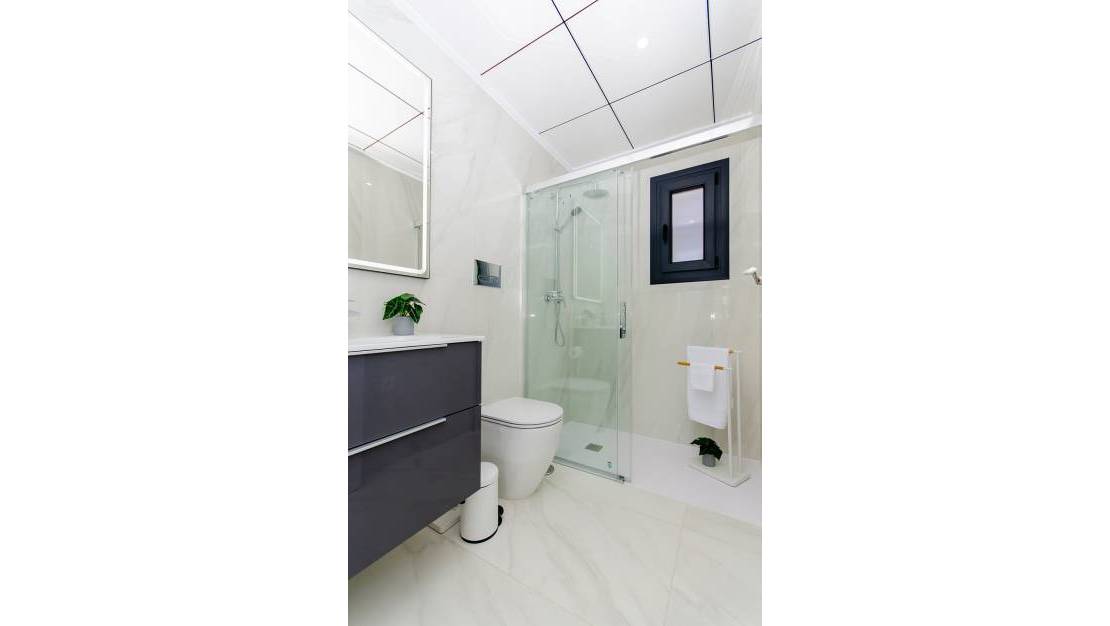 Nueva construcción  - detached - Orihuela Costa