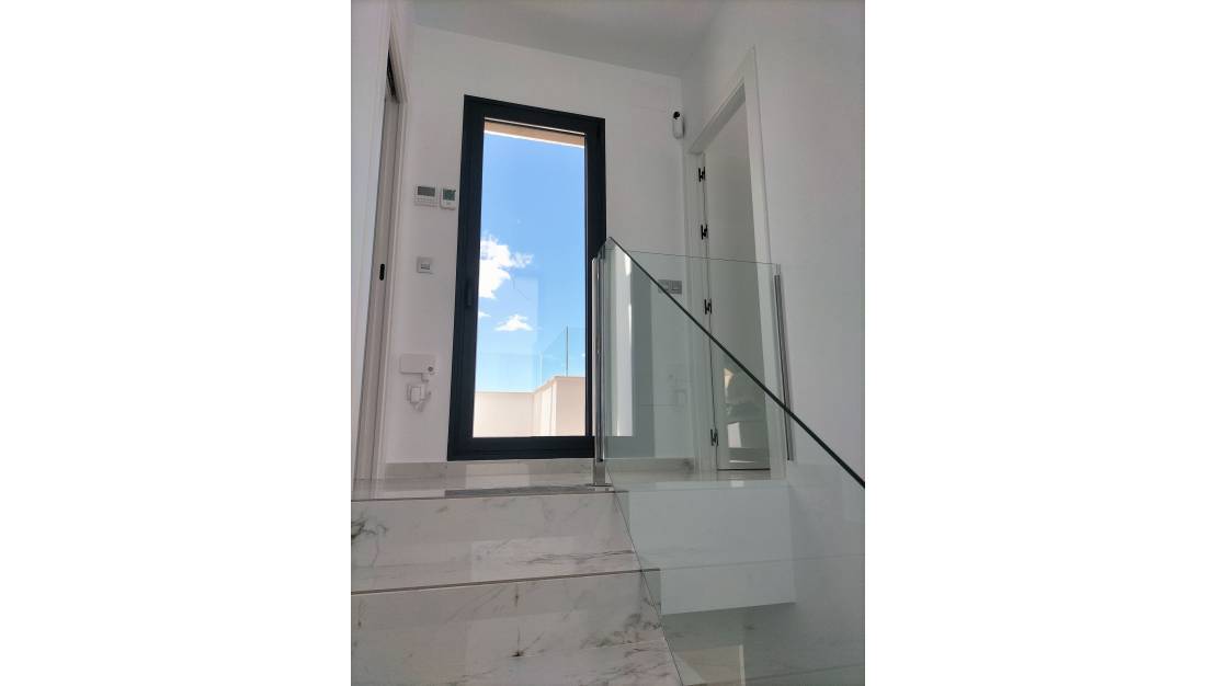 Nueva construcción  - detached - Pilar de la Horadada