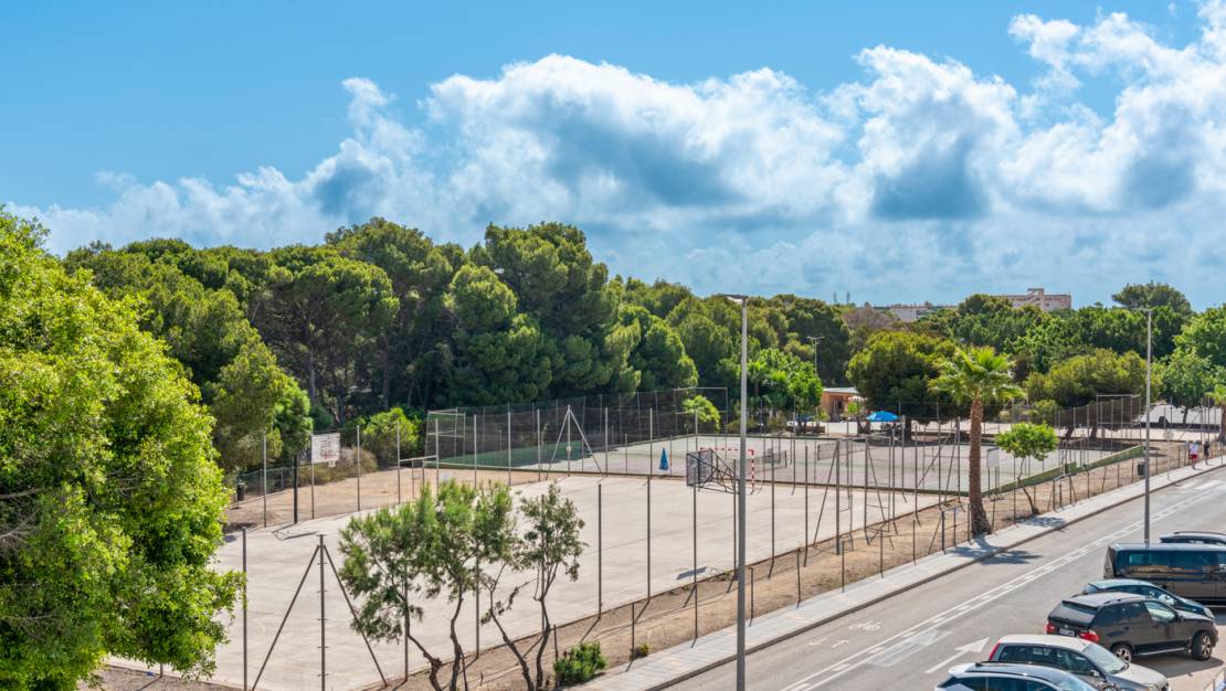 Nueva construcción  - detached - Pilar de la Horadada