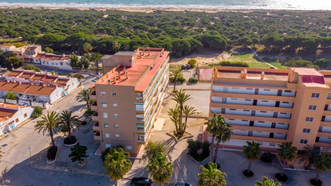 Вторичная - Апартаменты - Guardamar del Segura - Guardamar Playa