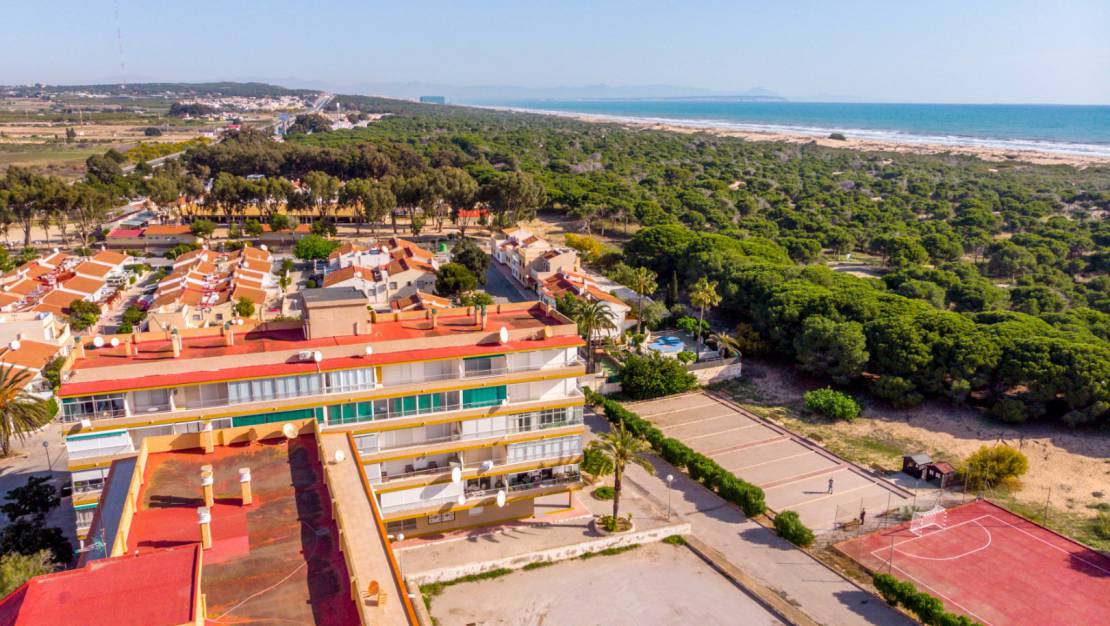 Вторичная - Апартаменты - Guardamar del Segura - Guardamar Playa