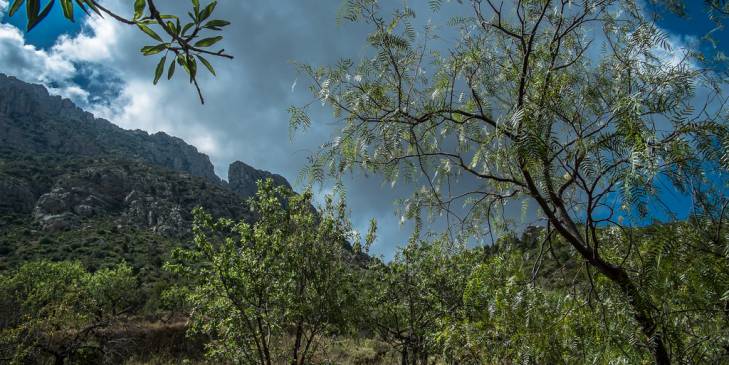 Finestrat: vivir entre Mar y Montañas