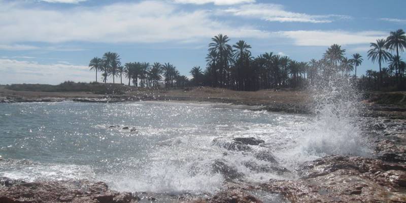 Barrios de Torrevieja: Mar Azul Barrios de Torrevieja: Mar Azul
