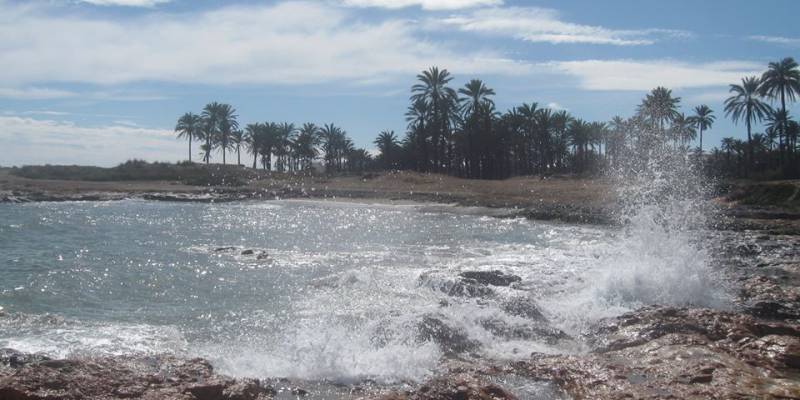 Barrios de Torrevieja: Mar Azul