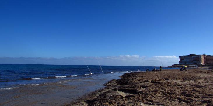 Barrios de Torrevieja: Cabo Cervera