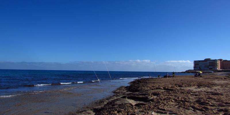 Barrios de Torrevieja: Cabo Cervera